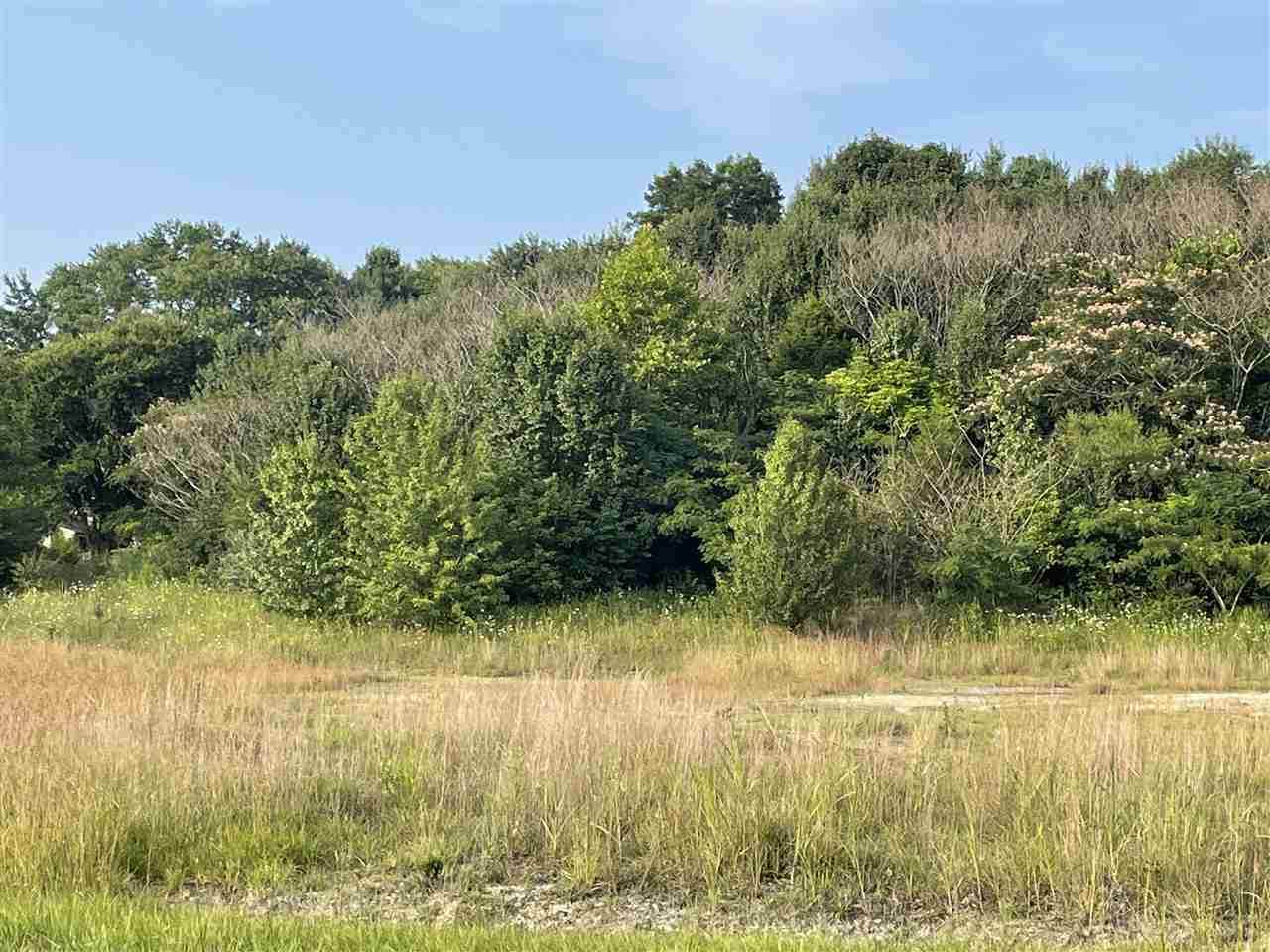 Tract 3A-1 Springfield Road - Photo 1