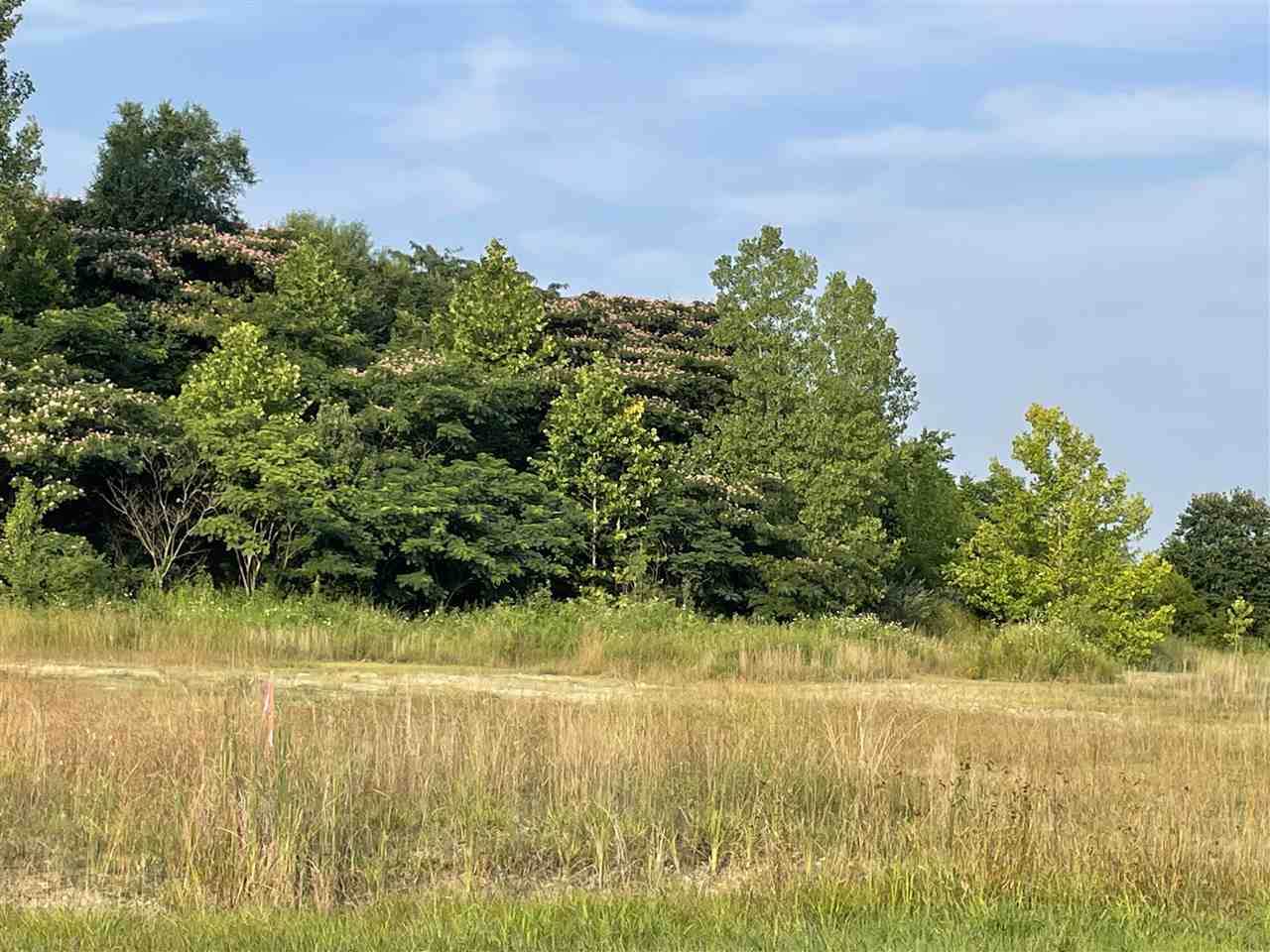 Tract 3A-2 Springfield Road - Photo 1