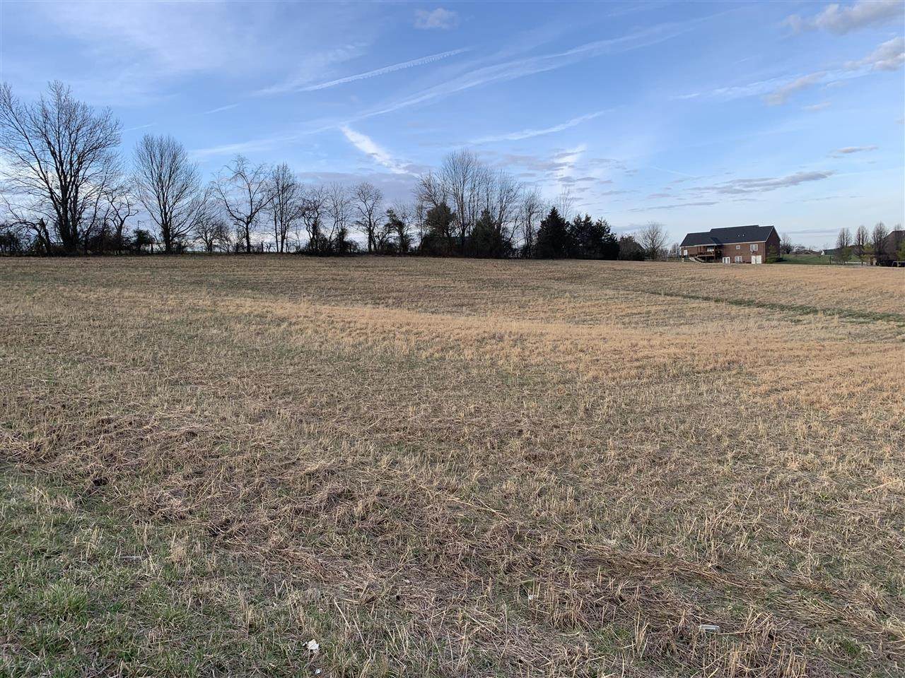 Lot#49 Louisville Road - Photo 1