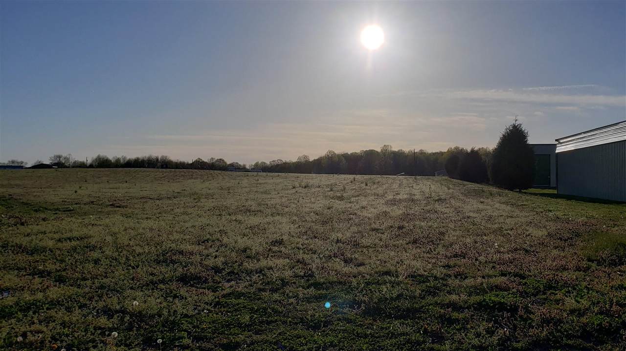 Tract 30 Holmes Bend Road - Photo 1