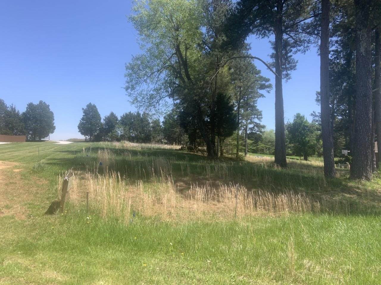 Graceland Trail - Photo 1