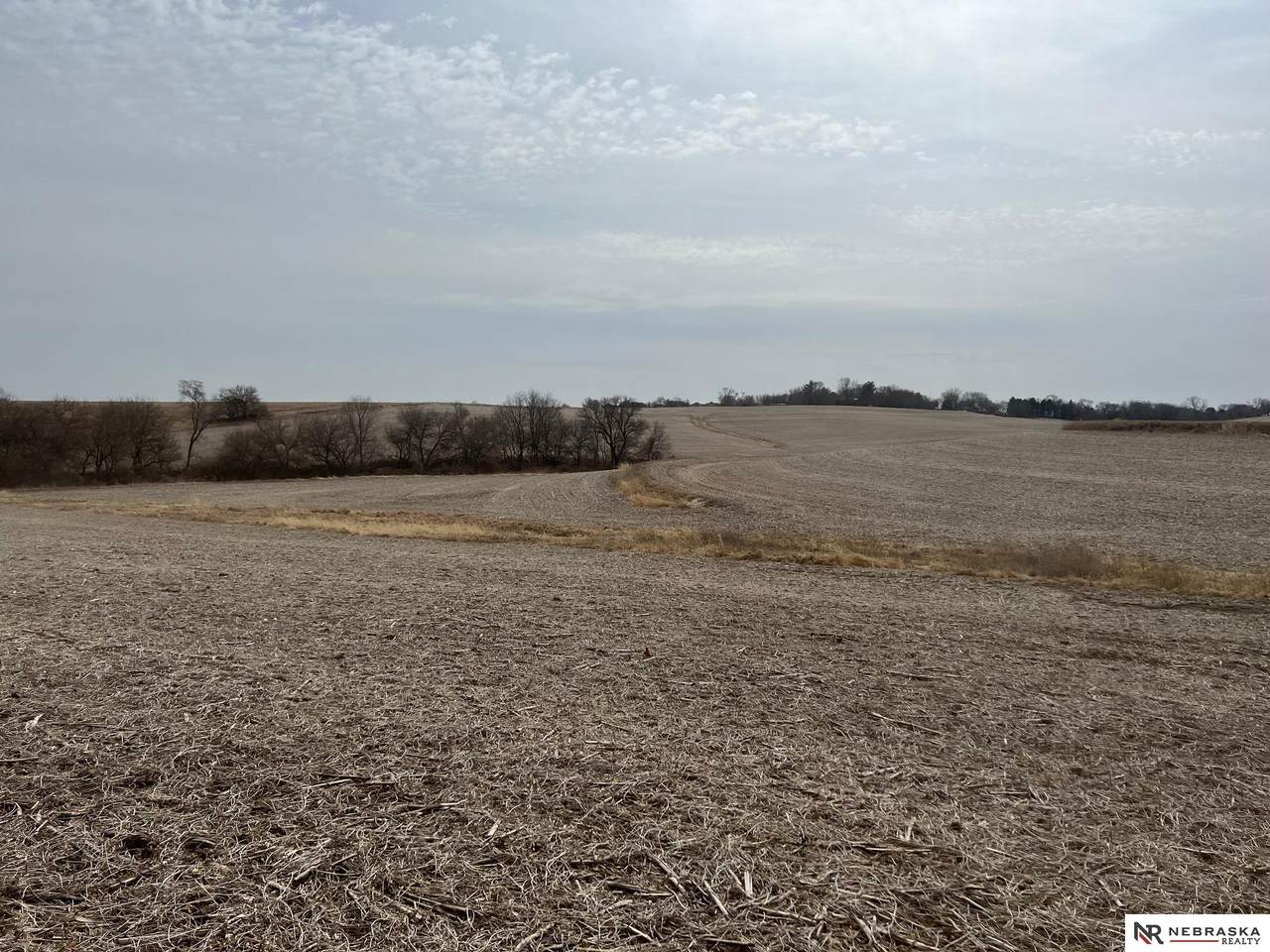 18803 Bennington Road - Photo 1