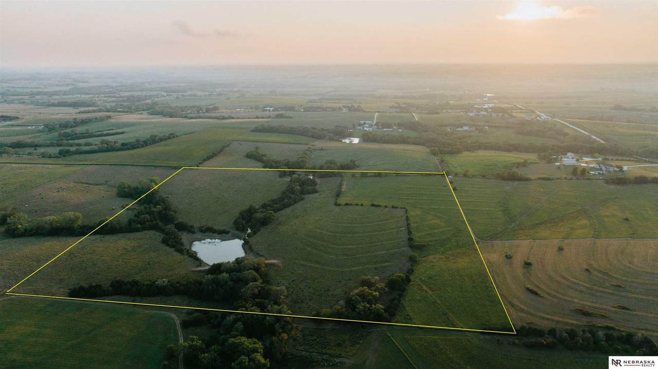 TBD Mckelvie Road - Photo 1