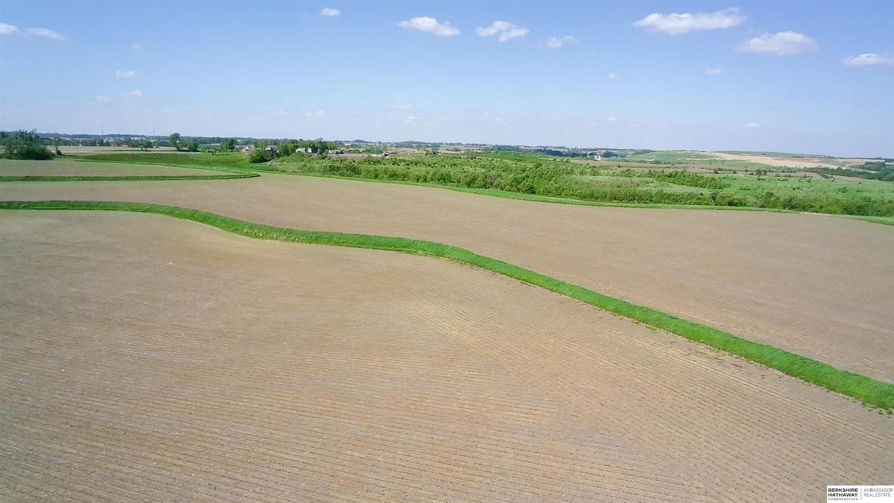 TBD 192nd Street & Highway 36 - Photo 1