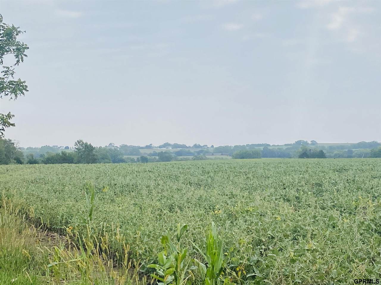 11905 O Street - Photo 1