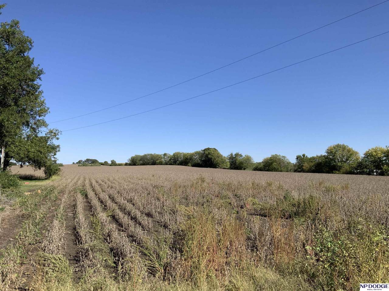 140th Van Dorn Street - Photo 1