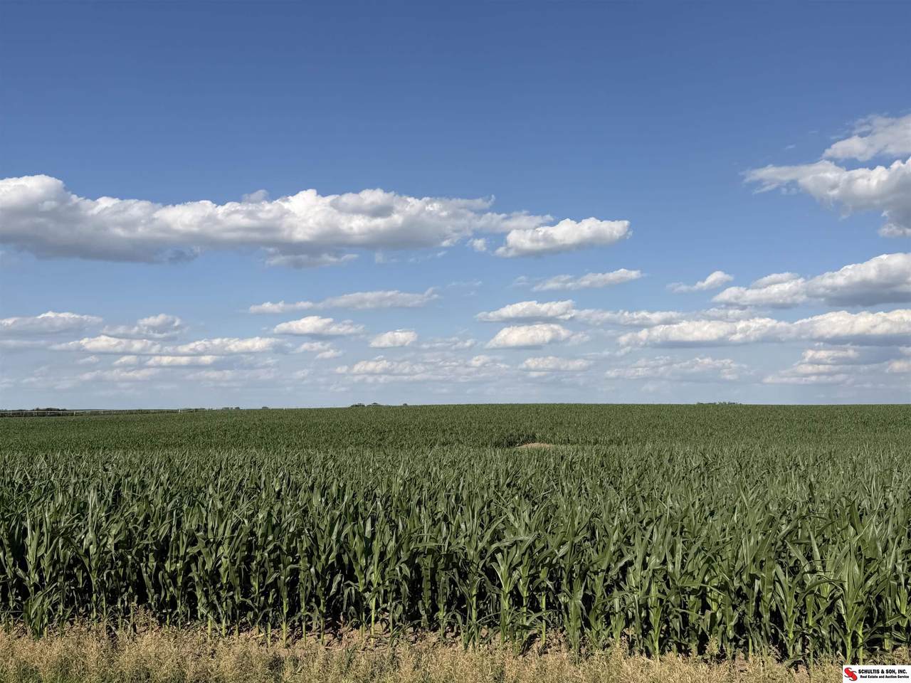 https://bt-photos.global.ssl.fastly.net/omaha/1280_boomver_1_22616850-2.jpg