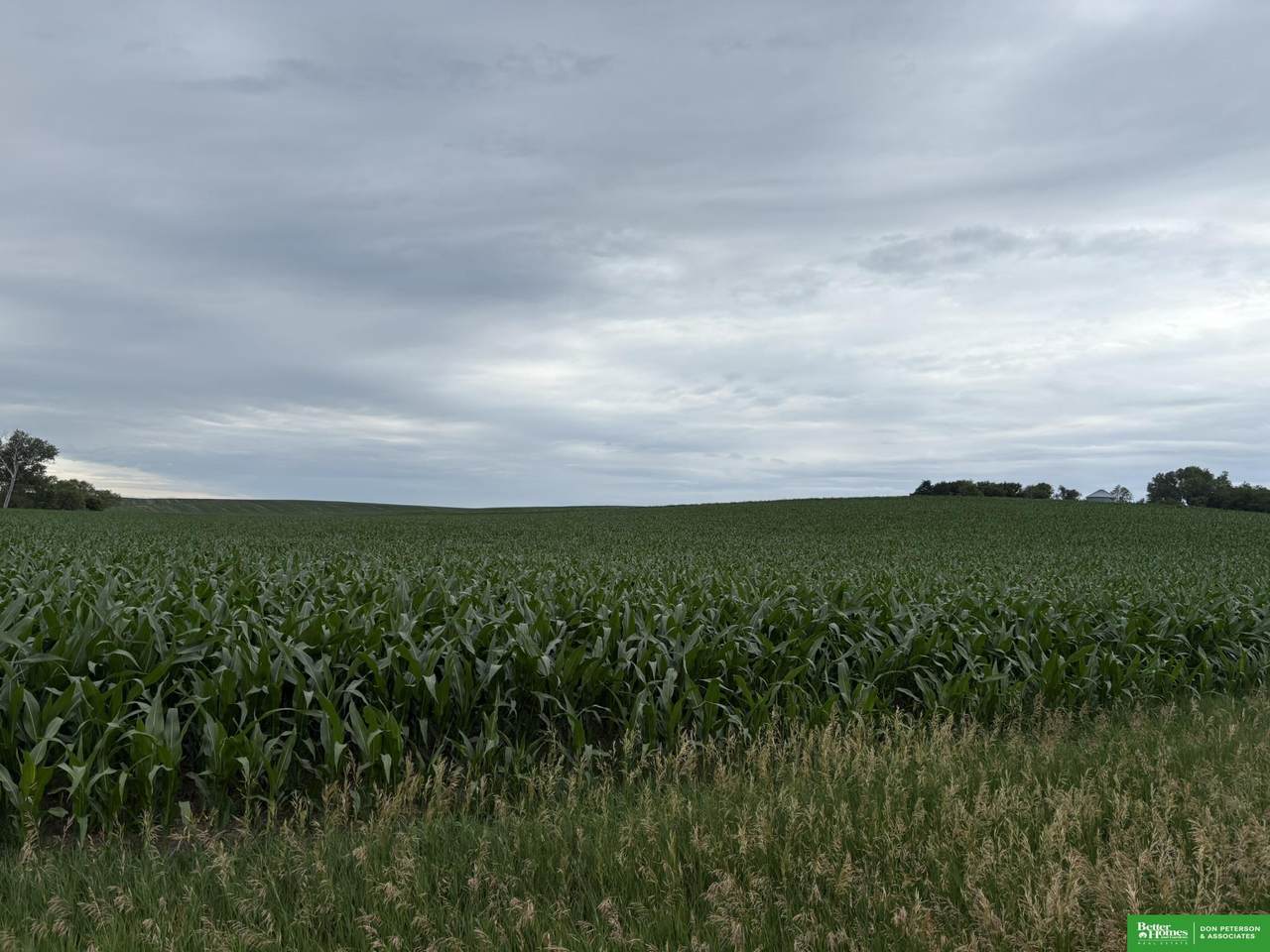88 Acres County Road - Photo 1