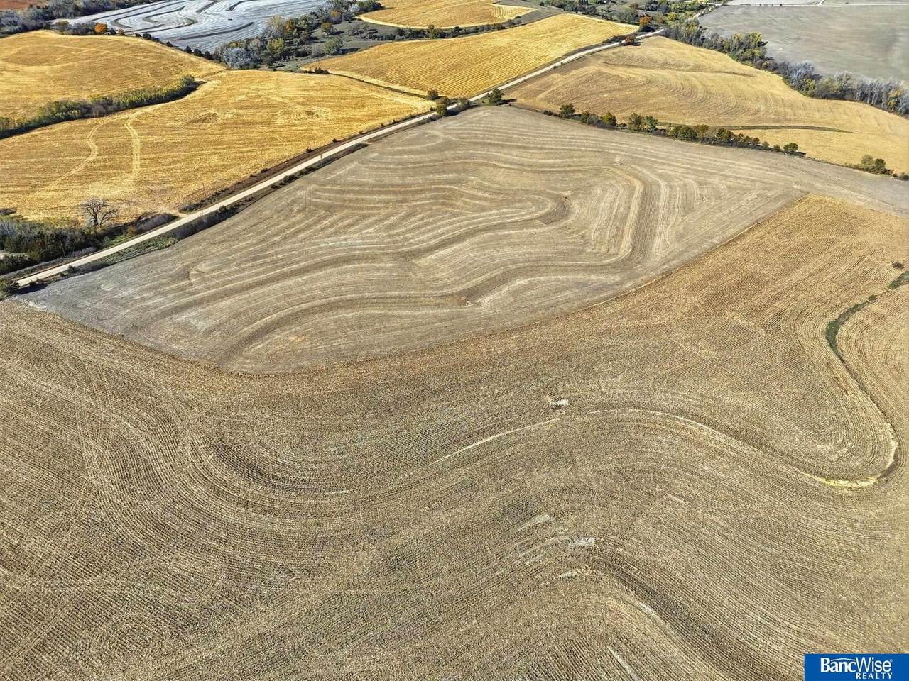 210 And Little Salt Tbd Road - Photo 1