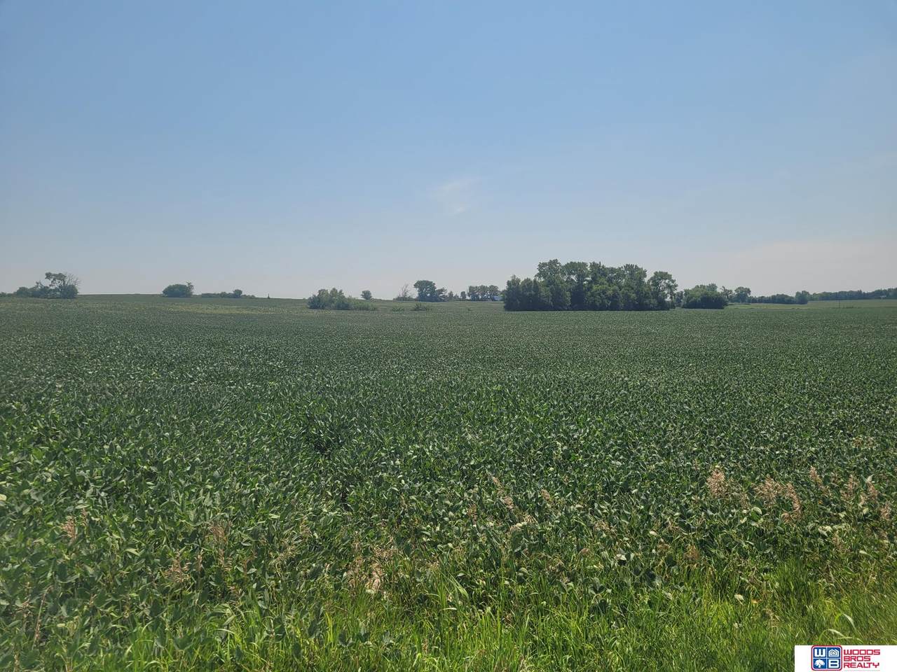 1424 Crooked Mile Road - Photo 1