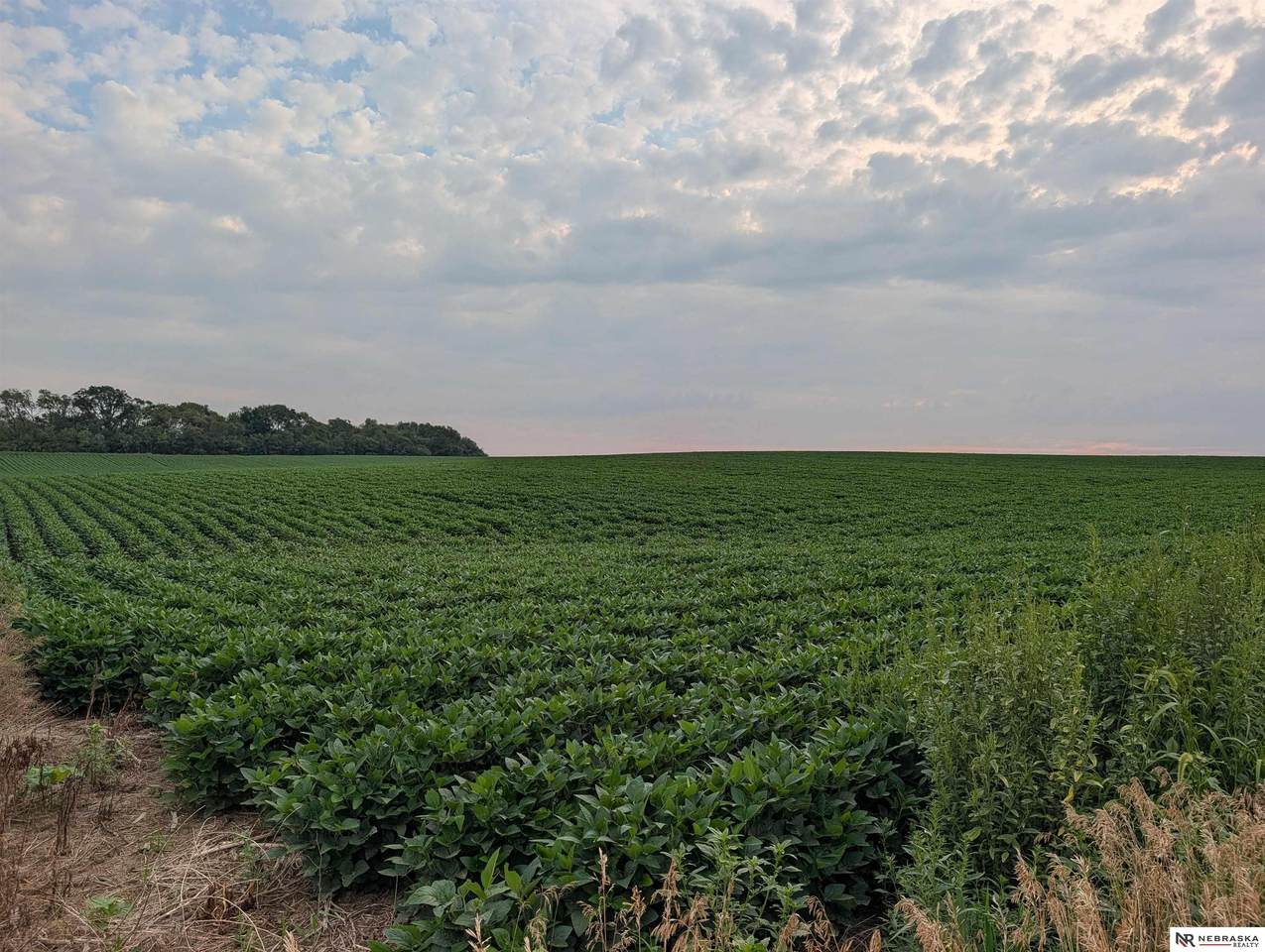 2060 22 County Road - Photo 1