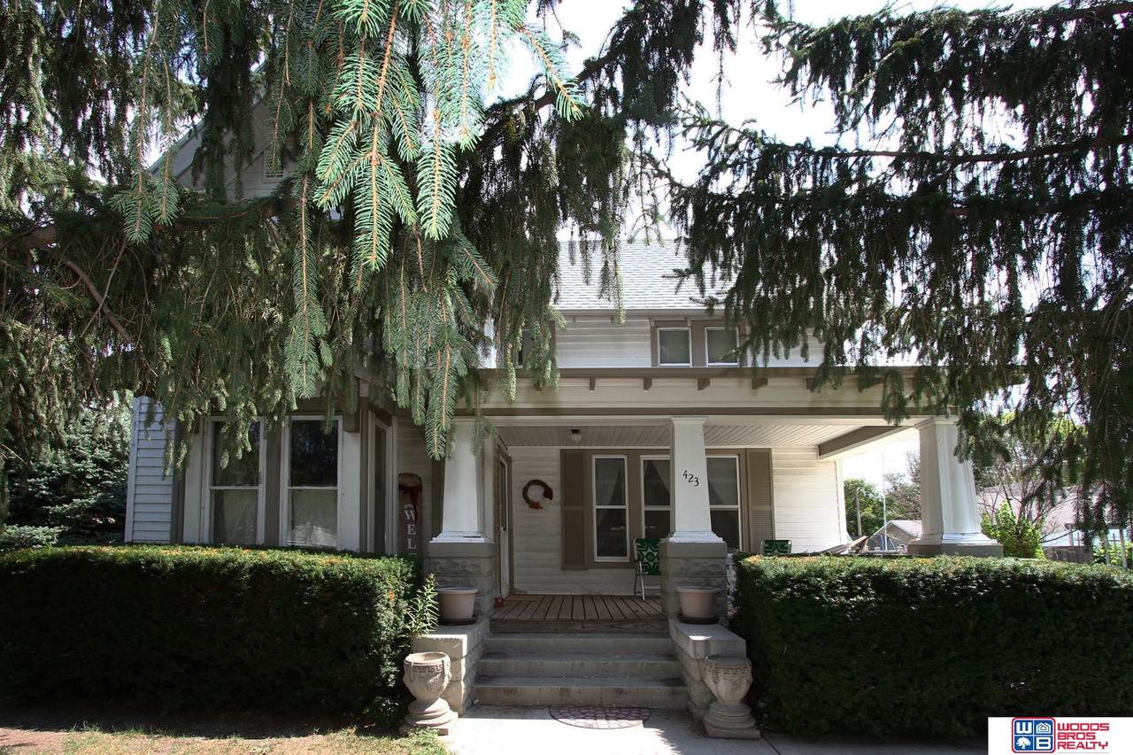 423 Pine Street - Photo 1
