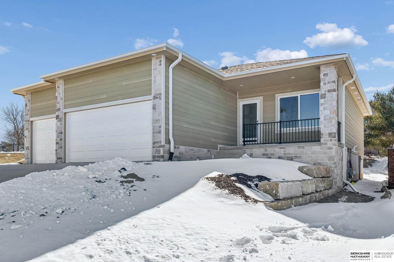 11601 Potter Street - Photo 1