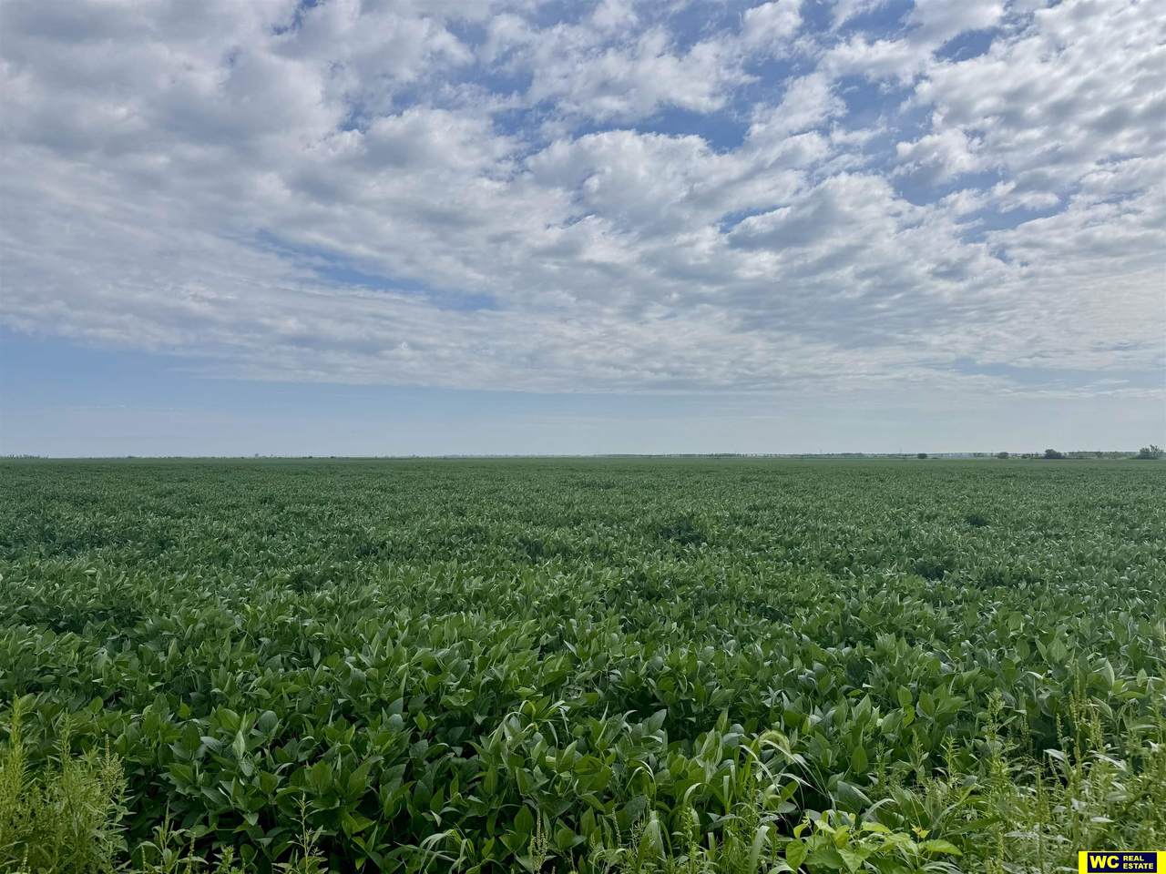 75 Acres County Road K - Photo 1