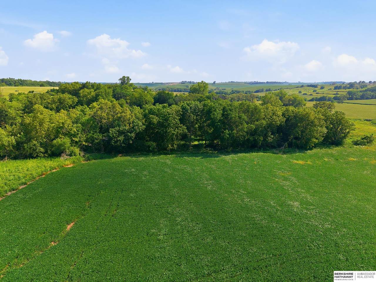 Lot 2 County Road 38 - Photo 1