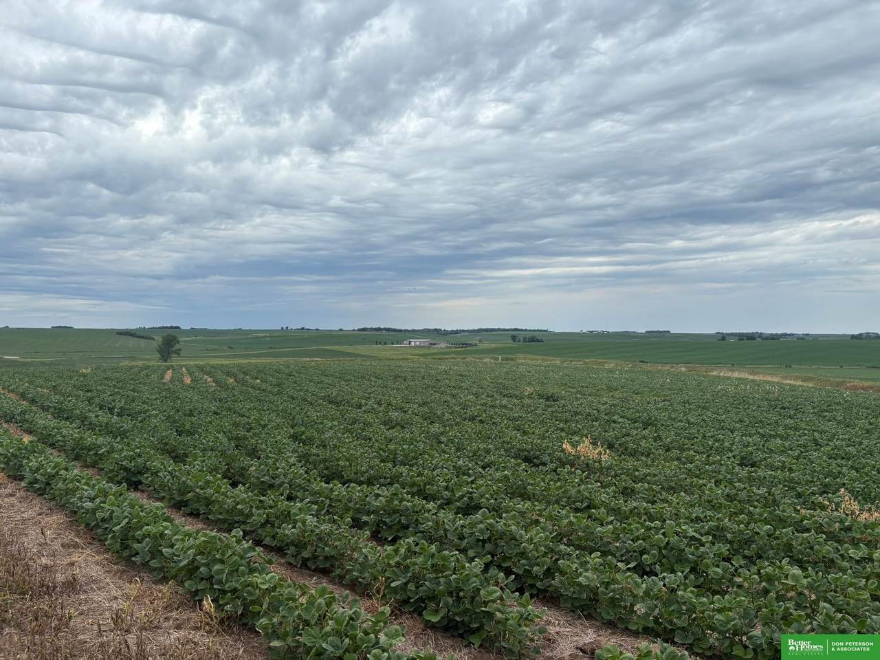 81 Acres County Line Road - Photo 1