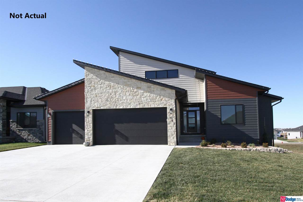 9310 Castle Pine Drive - Photo 1