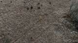 0000 635 Avenue - Photo 10