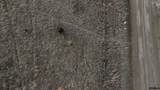 0000 635 Avenue - Photo 9