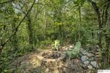 1126 Willow Wood Circle - Photo 51