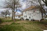 201 Butternut Street - Photo 7