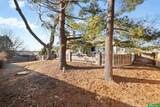 12619 Shirley Street - Photo 37