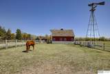 318 Maple Street - Photo 12