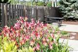 8941 Miami Street - Photo 25