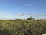 TBD Mckelvie Road - Photo 31