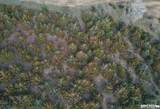 No Situs 80 Acres Avenue - Photo 16