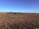 No Situs 80 Acres Avenue - Photo 7