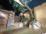 515 5th Street - Photo 7