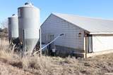 2704 P Road - Photo 12