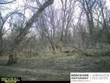 137th & Elbow Bend Road - Photo 22