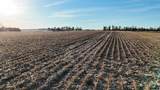 0000 857th Road - Photo 8