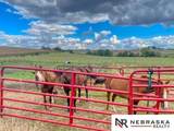 43316 Hwy 6 - Photo 11