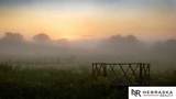 43316 Hwy 6 - Photo 46