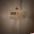 1418 High Street - Photo 19
