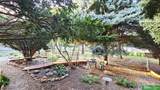 927 Hutchins Avenue - Photo 53