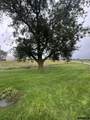 1042 County Road 1900 Road - Photo 6