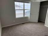 20556 Emiline Street - Photo 9