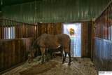 14558 County Road 36 - Photo 10