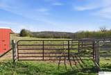 7751 Loess Lane - Photo 83