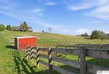 7751 Loess Lane - Photo 8