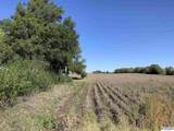 140th Van Dorn Street - Photo 2