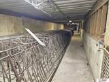  Dogwood Road - Photo 14