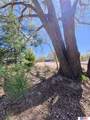29 Ernst Lake Street - Photo 6