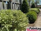 1118 1st Avenue - Photo 37