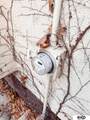 3908 Chicago Street - Photo 17