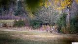 29106 Sokol Plaza - Photo 59